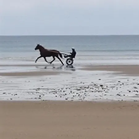 Кемпинг Mobil Sur 5 Etoiles Proche Ульгат