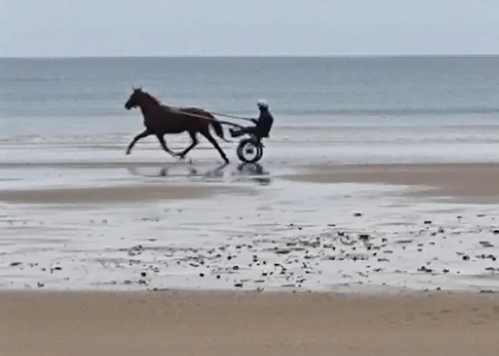 Кемпинг Mobil Sur 5 Etoiles Proche Ульгат